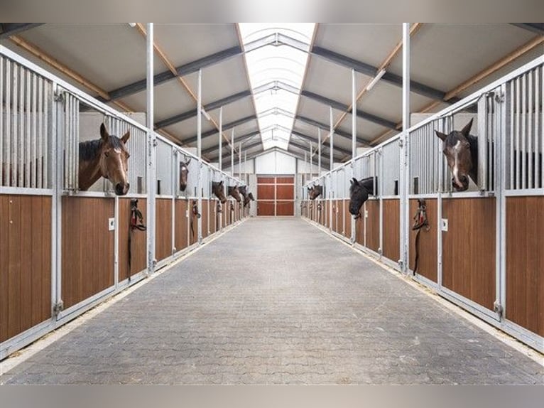 Renovated equestrian facility for sale! 