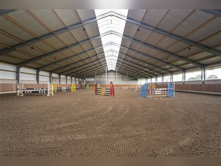 Renovated equestrian facility for sale! 