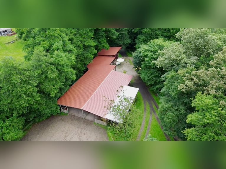 *reserviert* Offenstall in Rheinland-Pfalz zu verkaufen 