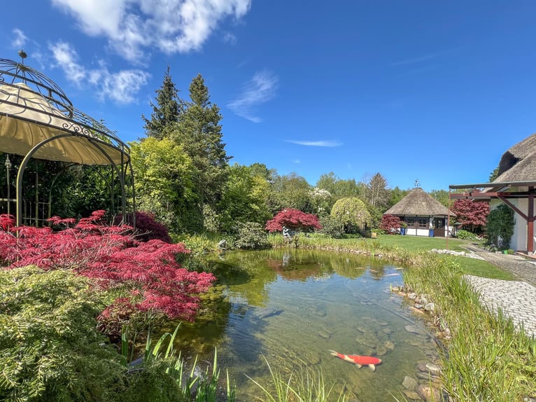 RESERVIERT!!!! Reetdachhaus mit privater Reitanlage