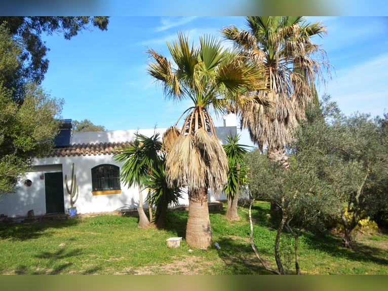 Ruhe pur - Finca in Vejer