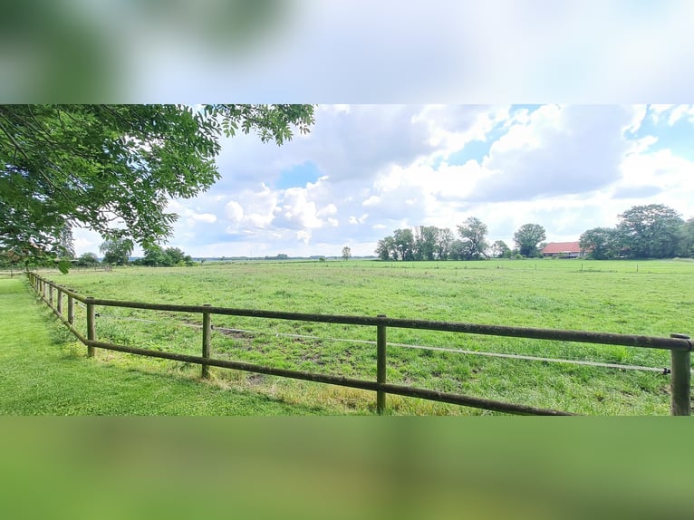 Saniertes Fachwerk-Anwesen mit Weidefläche, Pferdeboxen und Reitplatz nahe Bremen