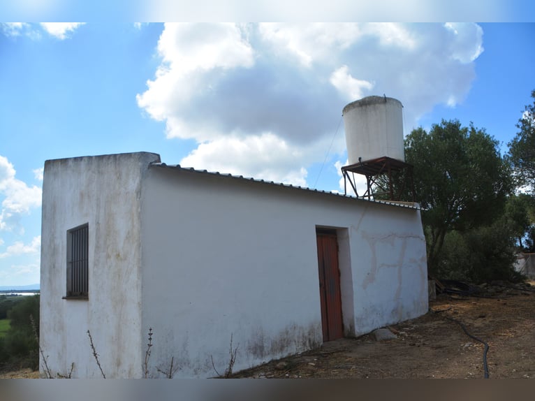 Schöne Finca, Haus ist renoviert, Pferdehaltun