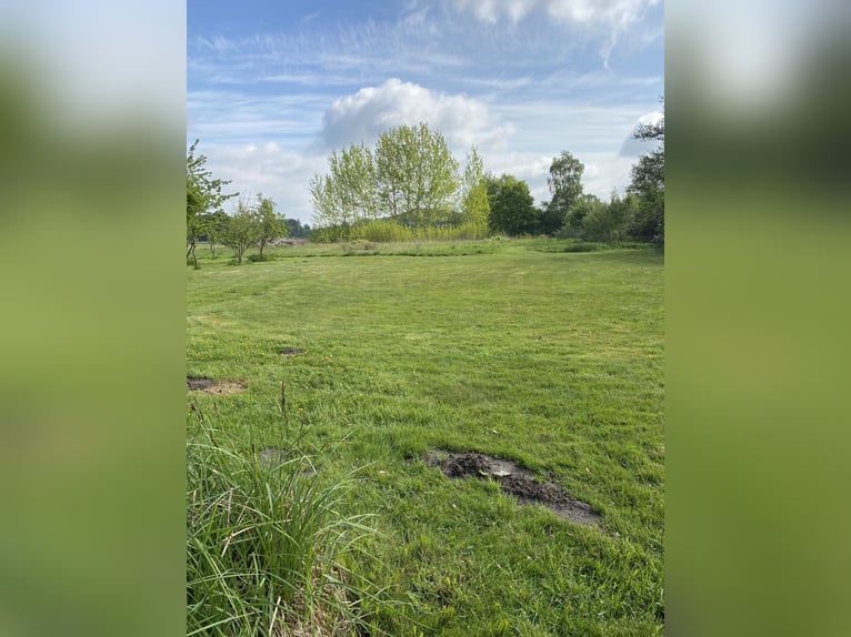 SCHÖNES LANDGUT mit 2 Wohneinheiten, Nebengebäude und Weide bei Bad Zwischenahn