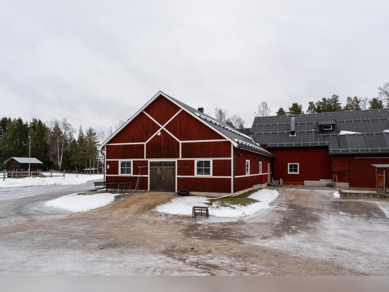 Schweden - Einzigartiger Pferdehof zum Verkauf angeboten!