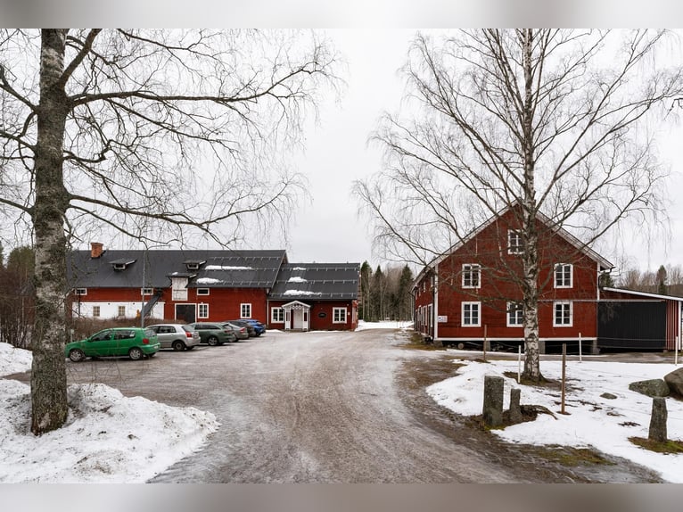 Schweden - Einzigartiger Pferdehof zum Verkauf angeboten!