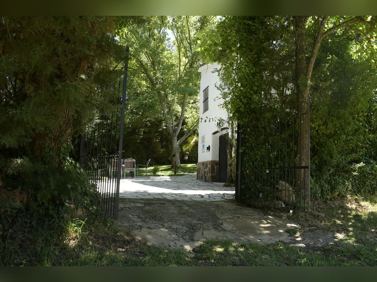 SOUTH OF SPAIN. HORSEFARM AND RURAL HOUSE 