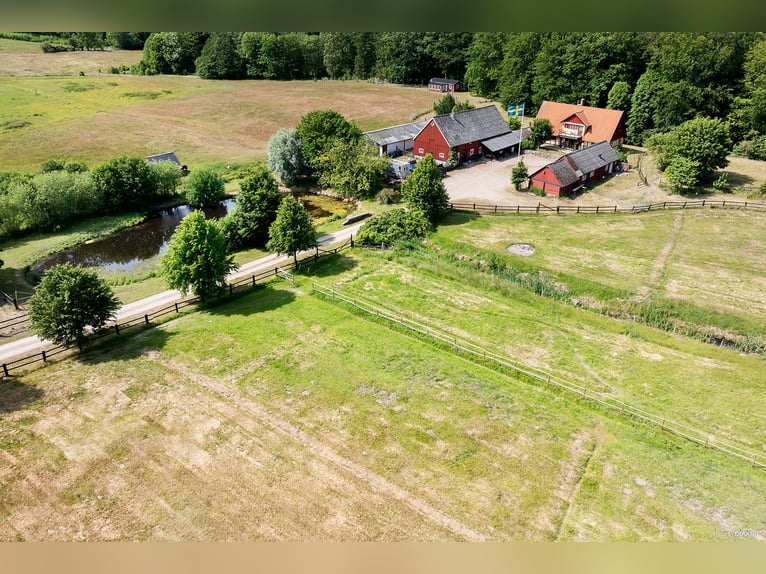 Spełnij swoje marzenia u bram Österlen – posiadłość jeździecka, wybieg dla jeleni, rzeka.
