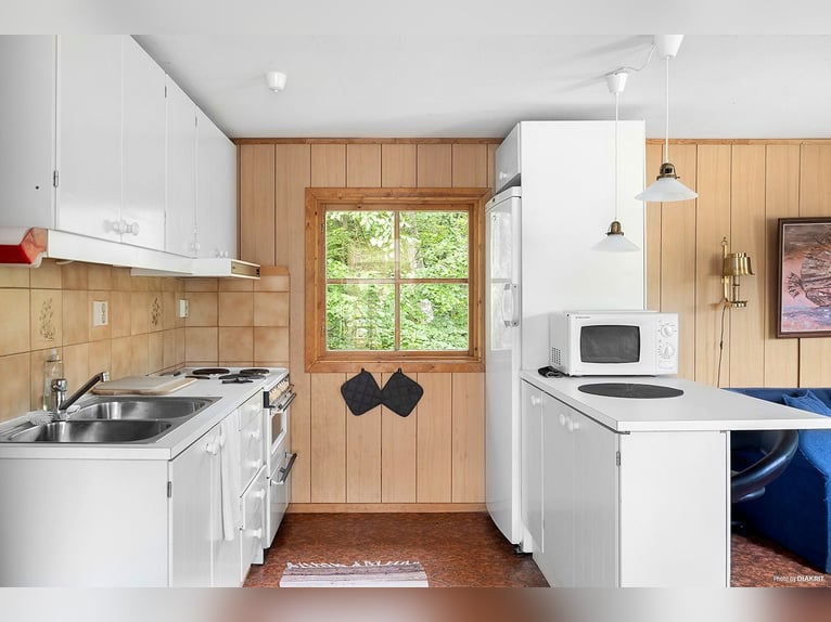 Spełnij swoje marzenia u bram Österlen – posiadłość jeździecka, wybieg dla jeleni, rzeka.