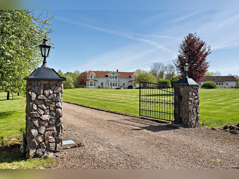 Springfield Farm – Ekskluzyjna posiadłość z międzynarodowym potencjałem, 8 ha