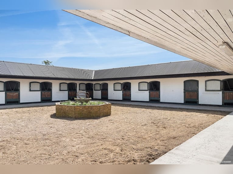 Springfield Farm – Ekskluzyjna posiadłość z międzynarodowym potencjałem, 8 ha