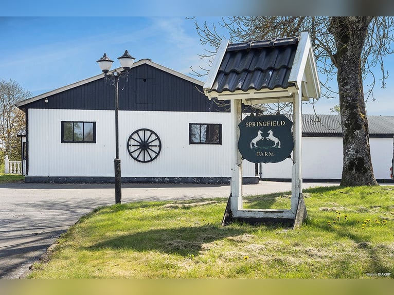 Springfield Farm – Ekskluzyjna posiadłość z międzynarodowym potencjałem, 8 ha