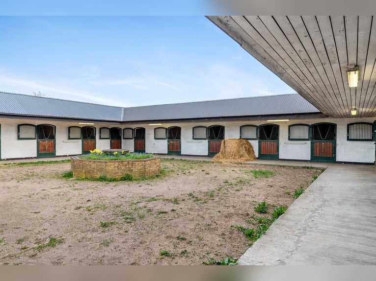 Springfield Farm – Ekskluzyjna posiadłość z międzynarodowym potencjałem, 8 ha