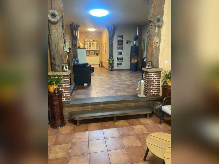 Stajnia jeździecka do hodowli, sportu i rehabilitacji