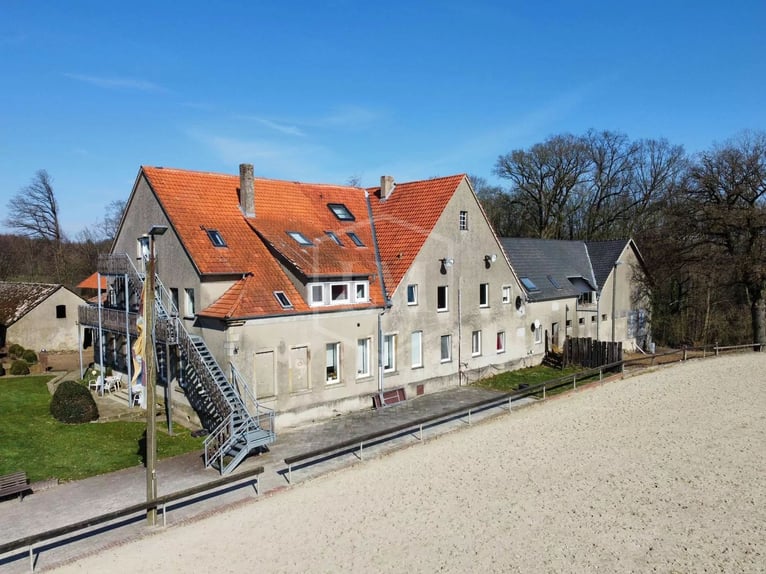 Stajnia jeździecka w Ibbenbüren