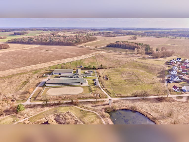 Stajnia jeździecka w Meklemburgii-Pomorzu Przednim – bezpośrednio nad Jeziorem Meklemburskim, w regi