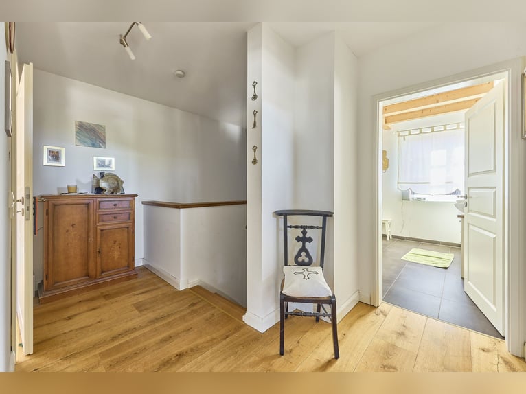 Stajnia jeździecka w Nadrenii-Palatynacie – w powiecie Donnersberg, z boksem aktywnym i nowoczesnym 