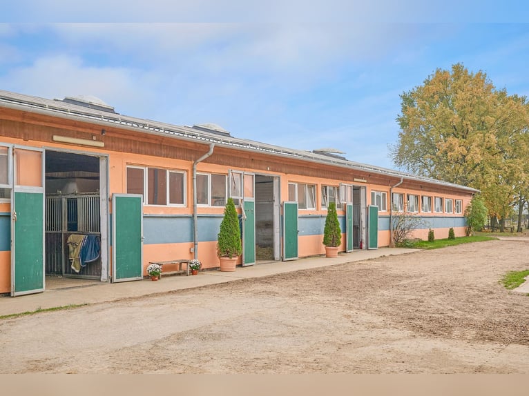 Stajnia konna na sprzedaż w okolicach Berlina – miejsce dla prawie 100 koni w powiecie Havelland