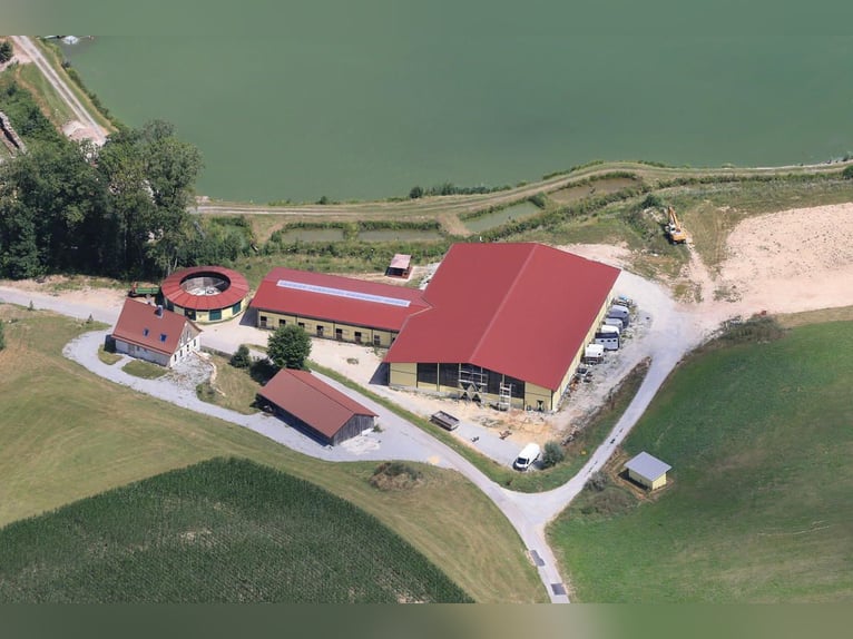 Stajnia konna nad jeziorem