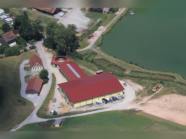 Stajnia konna nad jeziorem