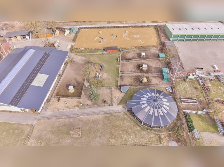 Stajnia konna w Dannenberg (Elbe) w Dolnej Saksonii – odrestaurowany dwór i dom mieszkalny z potencj