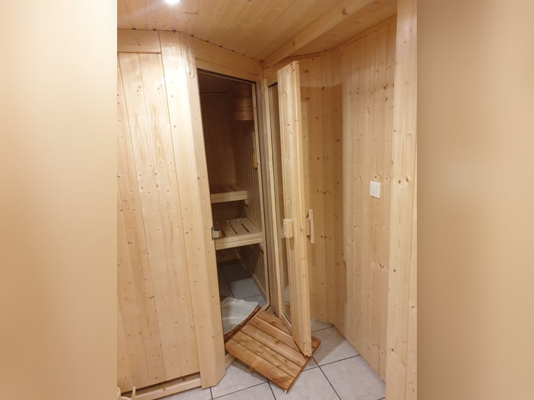 Stajnia konna w Harzu w Bad Sachsa – Duży gospodarstwo z własną stajnią i krytą ujeżdżalnią, położon