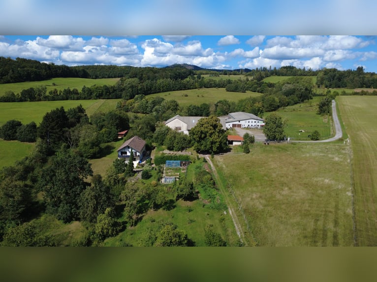 Stajnia konna w Harzu w Bad Sachsa – Duży gospodarstwo z własną stajnią i krytą ujeżdżalnią, położon