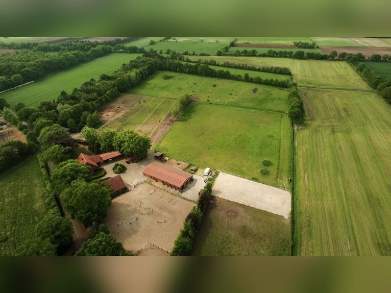 Stajnia w malowniczej okolicy w Ammerland