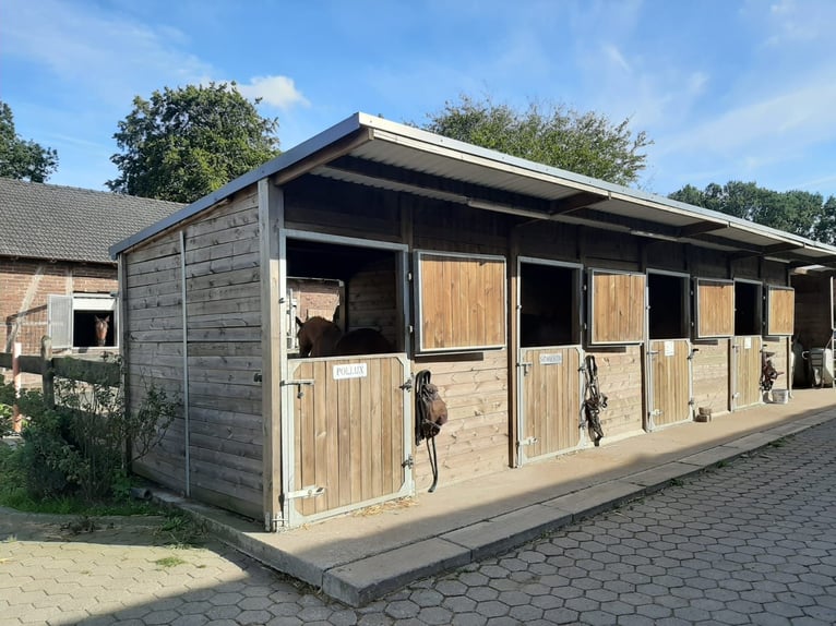 Stajnie z wybiegami na zewnątrz