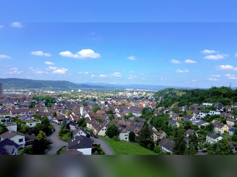 Stilvolles Landhaus mit Pferdestallung und Dressurplatz in ruhiger Lage nahe Basel