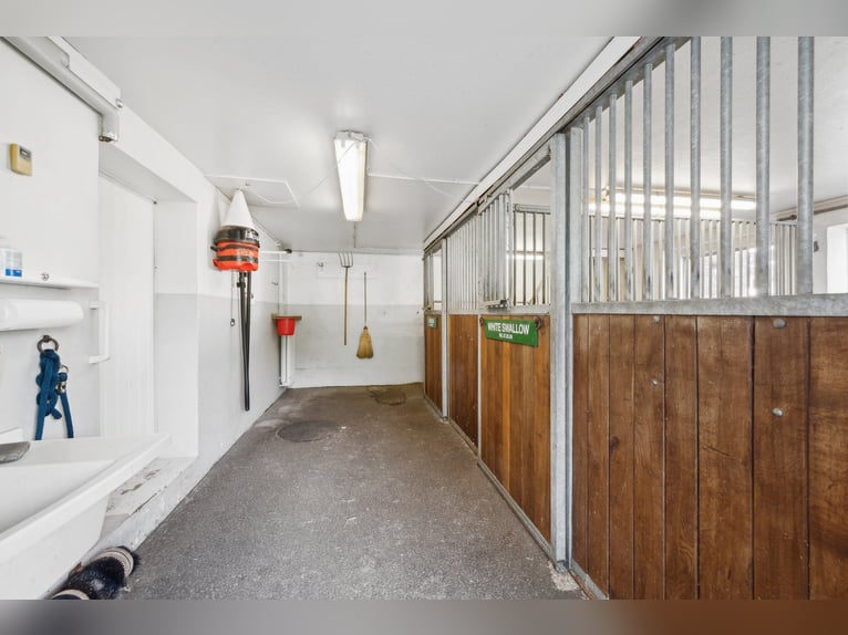 Stilvolles Landhaus mit Pferdestallung und Dressurplatz in ruhiger Lage nahe Basel