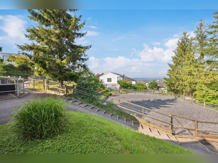 Stilvolles Landhaus mit Pferdestallung und Dressurplatz in ruhiger Lage nahe Basel