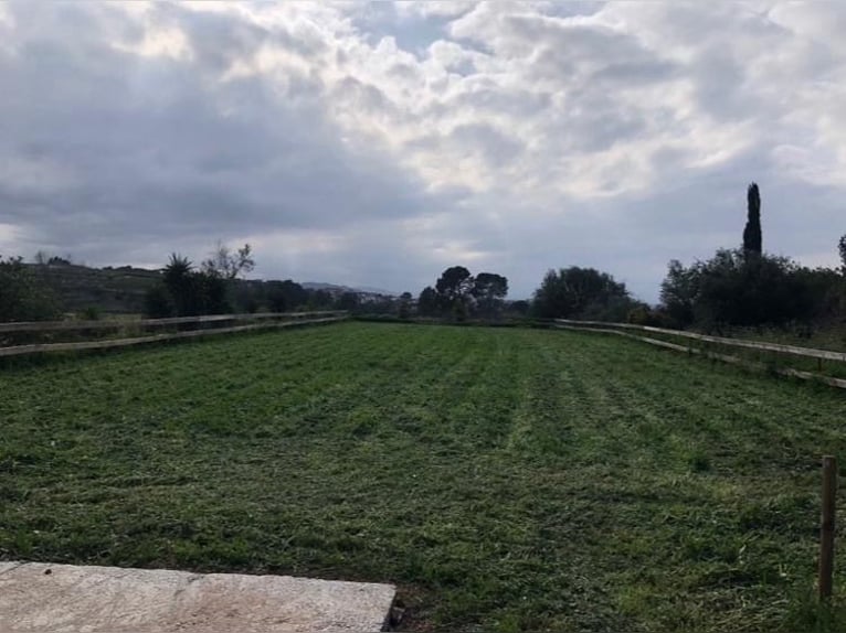 STUNNING EQUESTRIANPROPERTY/LANDHOUSE NEAR XATIVA/VALENCIA