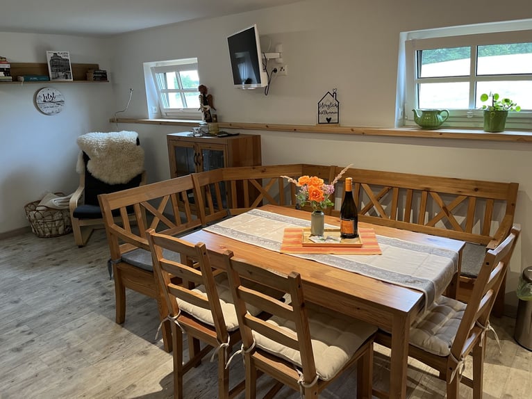 Szczęście ma swój dom – zadbany dom + mieszkanie na obrzeżach miasta Plauen / Metropolia Vogtland – 