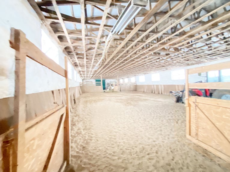 Traumhafte Reitanlage mit Reiterstube – Alleinlage inmitten Südthüringer Natur + perfekte Anbindung