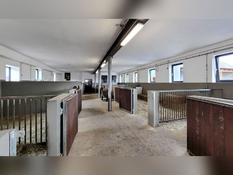 Traumhafter Vierkanthof mit ca. 4,2 ha Nähe Düsseldorf