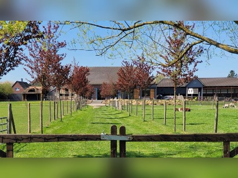 Traumhafter Vierkanthof mit ca. 4,2 ha Nähe Düsseldorf