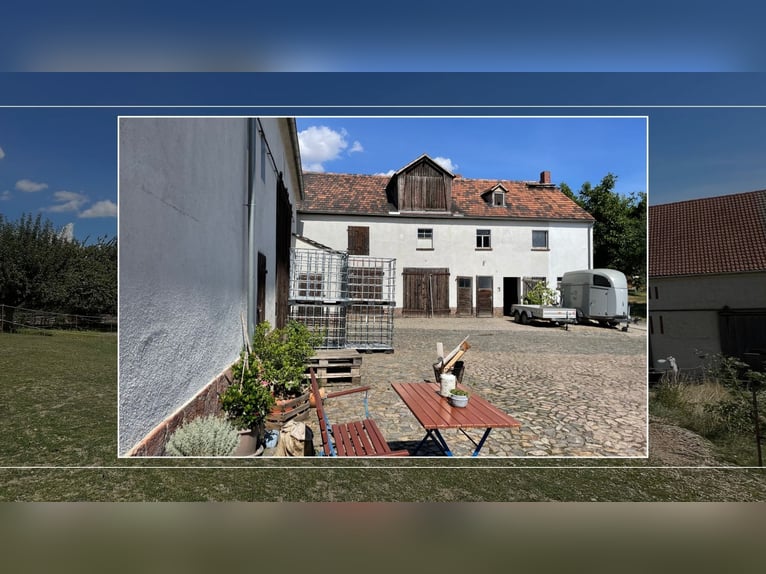 Trzystronny gospodarstwo jako miejsce relaksu – dom mieszkalny, hodowla koni z 1,6 ha pastwisk oraz