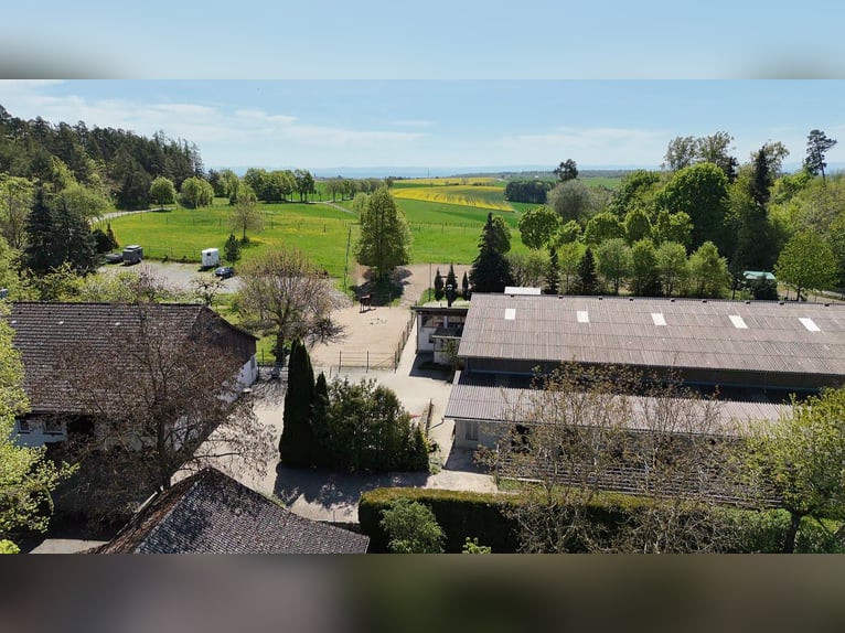 Unikalny kompleks jeździecki w malowniczej lokalizacji z zapierającym dech w piersiach widokiem - 38