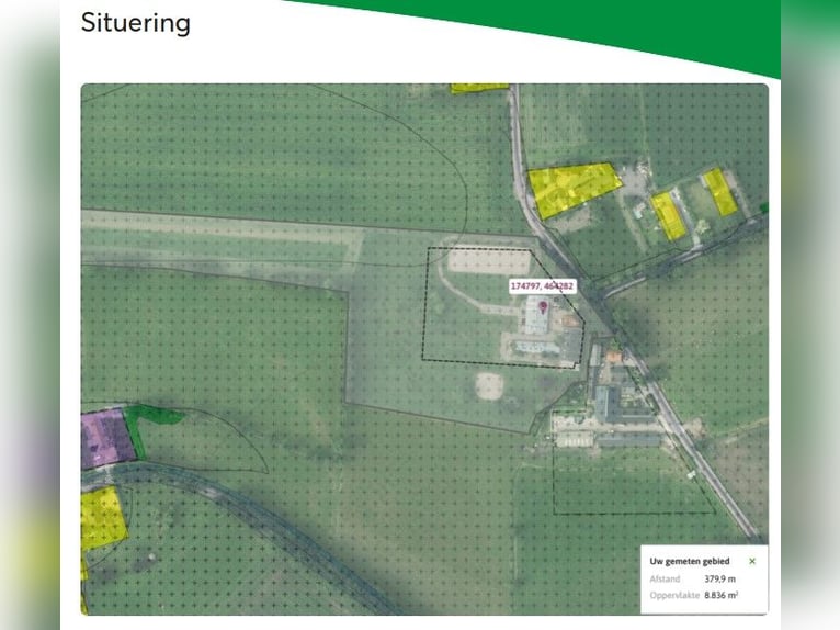 Urokliwa farma koni w Kootwijkerbroek, Veluwe na sprzedaż