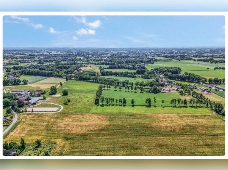 Urokliwa farma koni w Kootwijkerbroek, Veluwe na sprzedaż