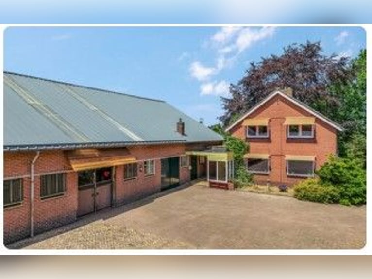 Urokliwa farma koni w Kootwijkerbroek, Veluwe na sprzedaż