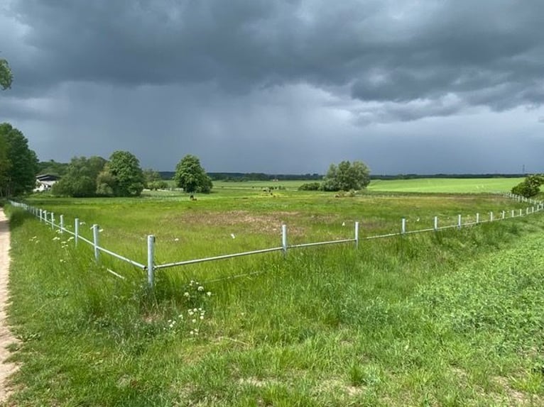 Urokliwie położony ośrodek jeździecki / stajnia koni w Hagerfelde, 18276, do wynajęcia na dzierżawę