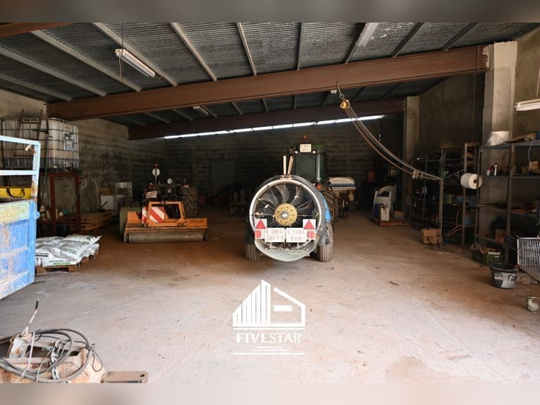 Urokliwy dwór dla miłośników, idealny do hodowli koni