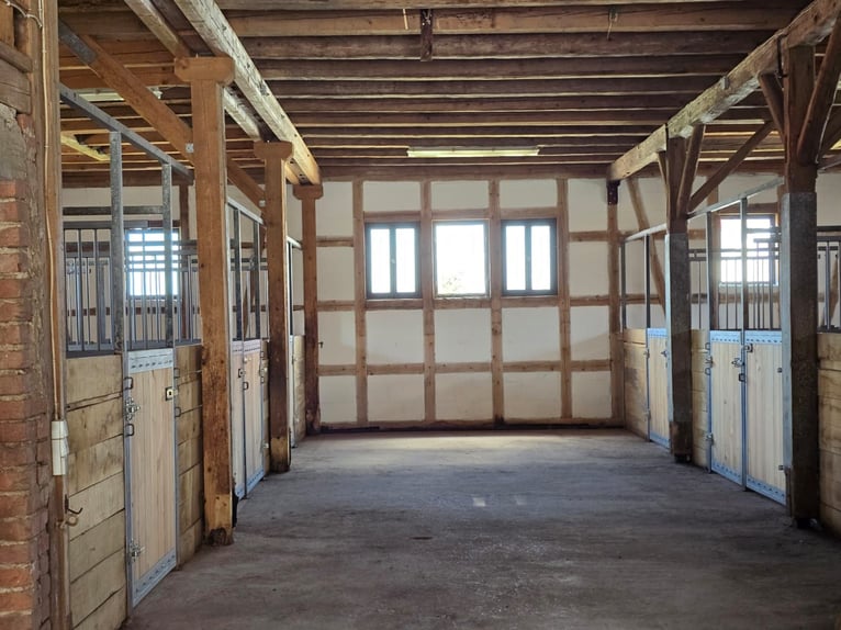 Vielseitiges Pferde- und Wohnensemble mit Ausbaupotenzial - Ideal für Tierklinik, Reitanlage uvm.