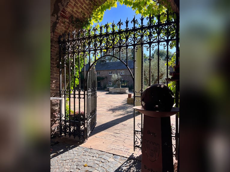 Wohnanlage mit historischem Flair auf Parkgrundstück mit eigenem See für Natur- und Tierliebhaber!