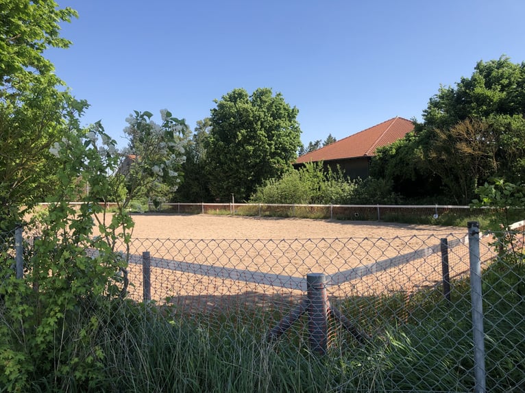 Wohnen mit Pferden in 97350 Mainbernheim-Direkt vom Eigentümer