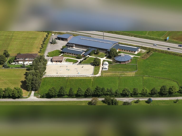 Wschodnia Szwajcaria – Ekskluzywny kompleks jeździecki z willą w stylu śródziemnomorskim oraz rozleg