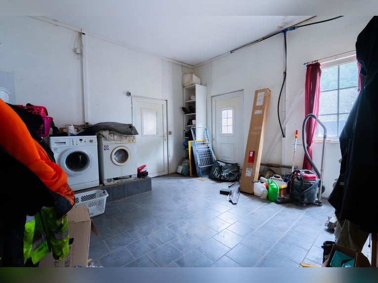 Wspaniały gospodarstwo jeździeckie o powierzchni około 7,5 ha, z halą ujeżdżeniową, lonżownią, place