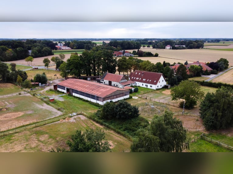 Wspaniały gospodarstwo jeździeckie o powierzchni około 7,5 ha, z halą ujeżdżeniową, lonżownią, place